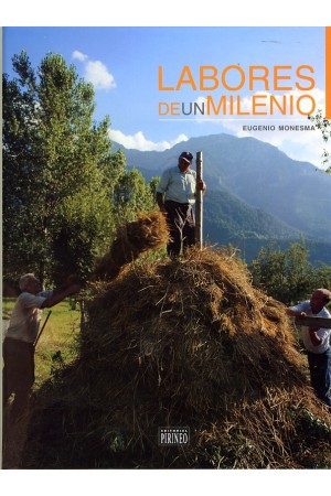 Labores de un milenio.Aragón I