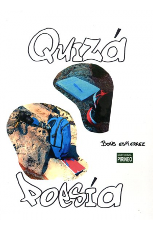 Quiz&aacute; Poes&iacute;a