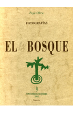 (1994) EL BOSQUE FOTOGRAFÍAS