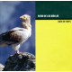 (2002) REINO DE LOS MALLOS. GUÍA DE AVES.